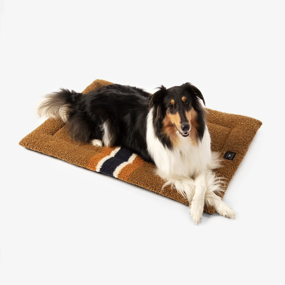 Shinola Brand Stripe Comfort Cushion Berber Dog Bed Rust – Crate Mats & Pads by Shinola