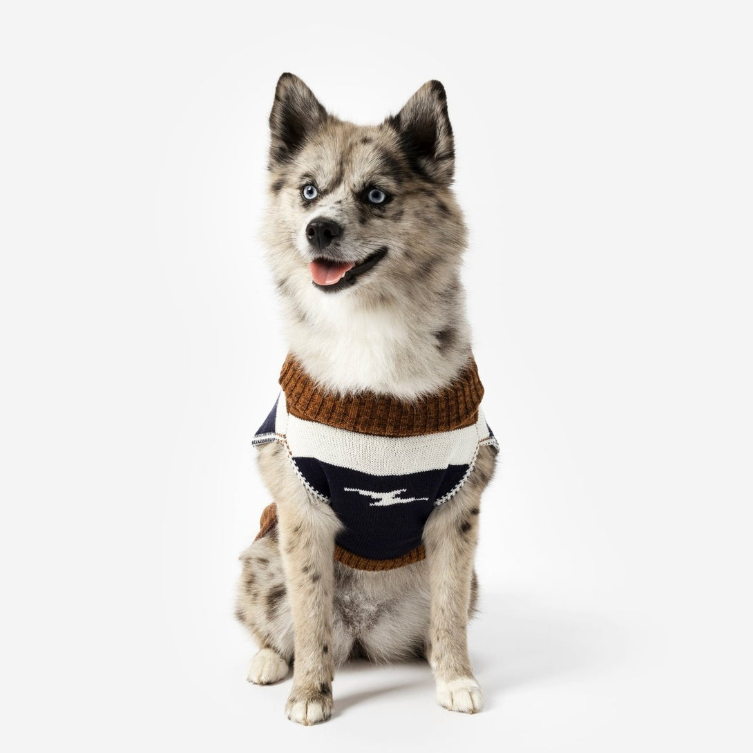 Shinola Brand Stripe Knitted Dog Sweater – Sweaters & Hoodies by Shinola