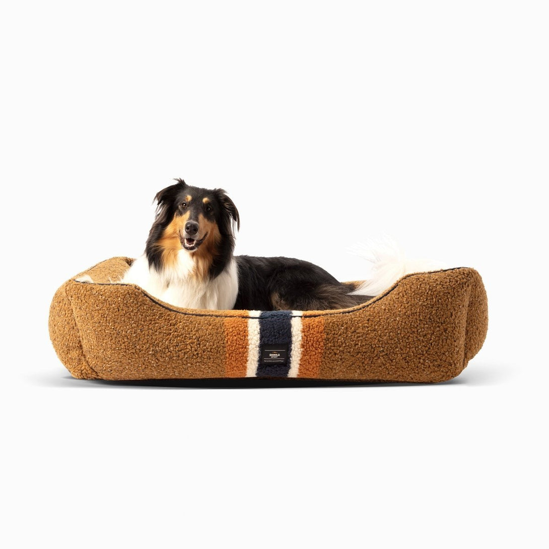 Shinola Brand Stripe Kuddle Berber Dog Bed Rust – Dog Beds by Shinola