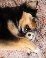 Skeleton Beastball Wool Dog Toy – Dog Toys by MODERNBEAST