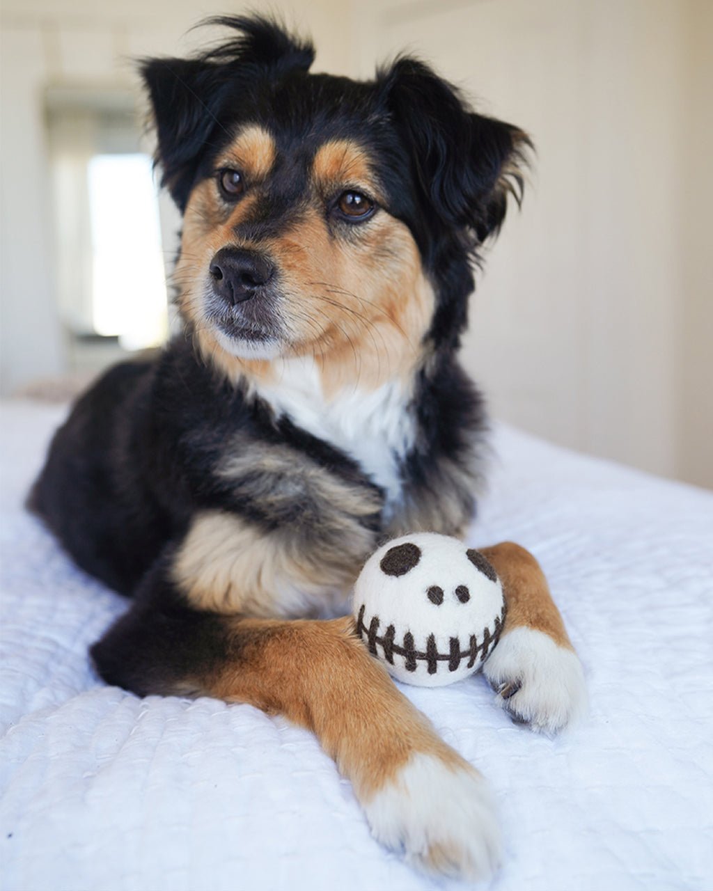 Skeleton Beastball Wool Dog Toy – Dog Toys by MODERNBEAST
