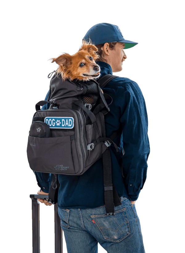 Sky Pack | Convertible Dog Backpack & Pet Carrier – Pet Carriers by K9 Sport Sack