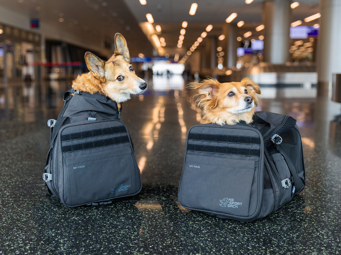 Sky Pack | Convertible Dog Backpack & Pet Carrier – Pet Carriers by K9 Sport Sack