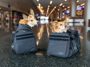 Sky Pack | Convertible Dog Backpack & Pet Carrier – Pet Carriers by K9 Sport Sack