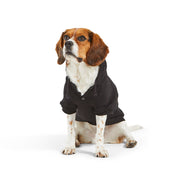 Snap Back Dog Hoodie. – Sweaters & Hoodies by JUST FRED.