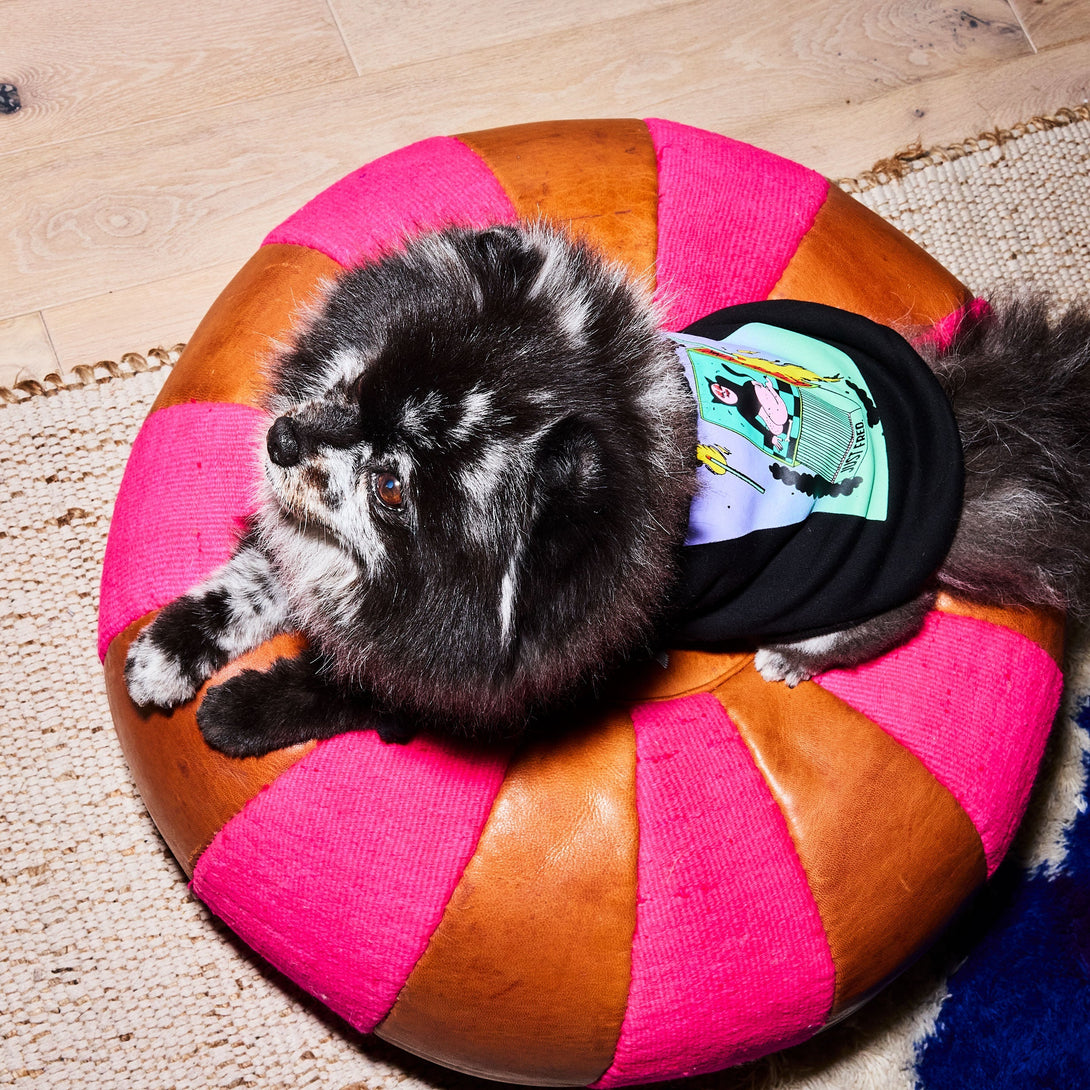 Snap Back Dog Hoodie. – Sweaters & Hoodies by JUST FRED.