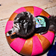 Snap Back Dog Hoodie. – Sweaters & Hoodies by JUST FRED.