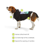 Snap Back Dog Hoodie. – Sweaters & Hoodies by JUST FRED.