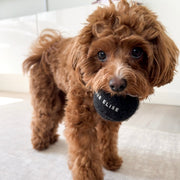 So Fetch! Tennis Ball Dog Toy Set of 5 - Noir – Dog Toys by Fur Elise Pets