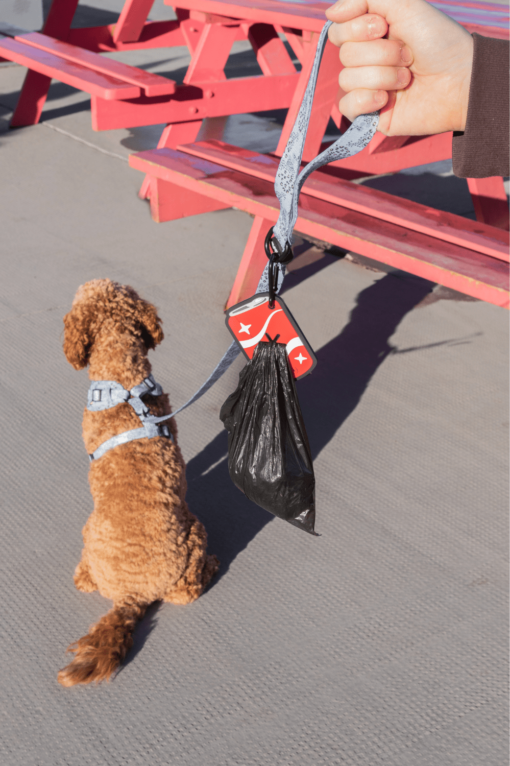 Soda Pop Dog Poopy Loop Dog Waste Holder – Dog Poop Bags & Dispensers by Woof + Wonder