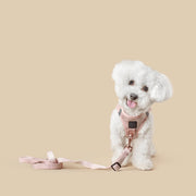 SoHo Dog Harness - Blush Pink – Dog Harnesses by Dogistry