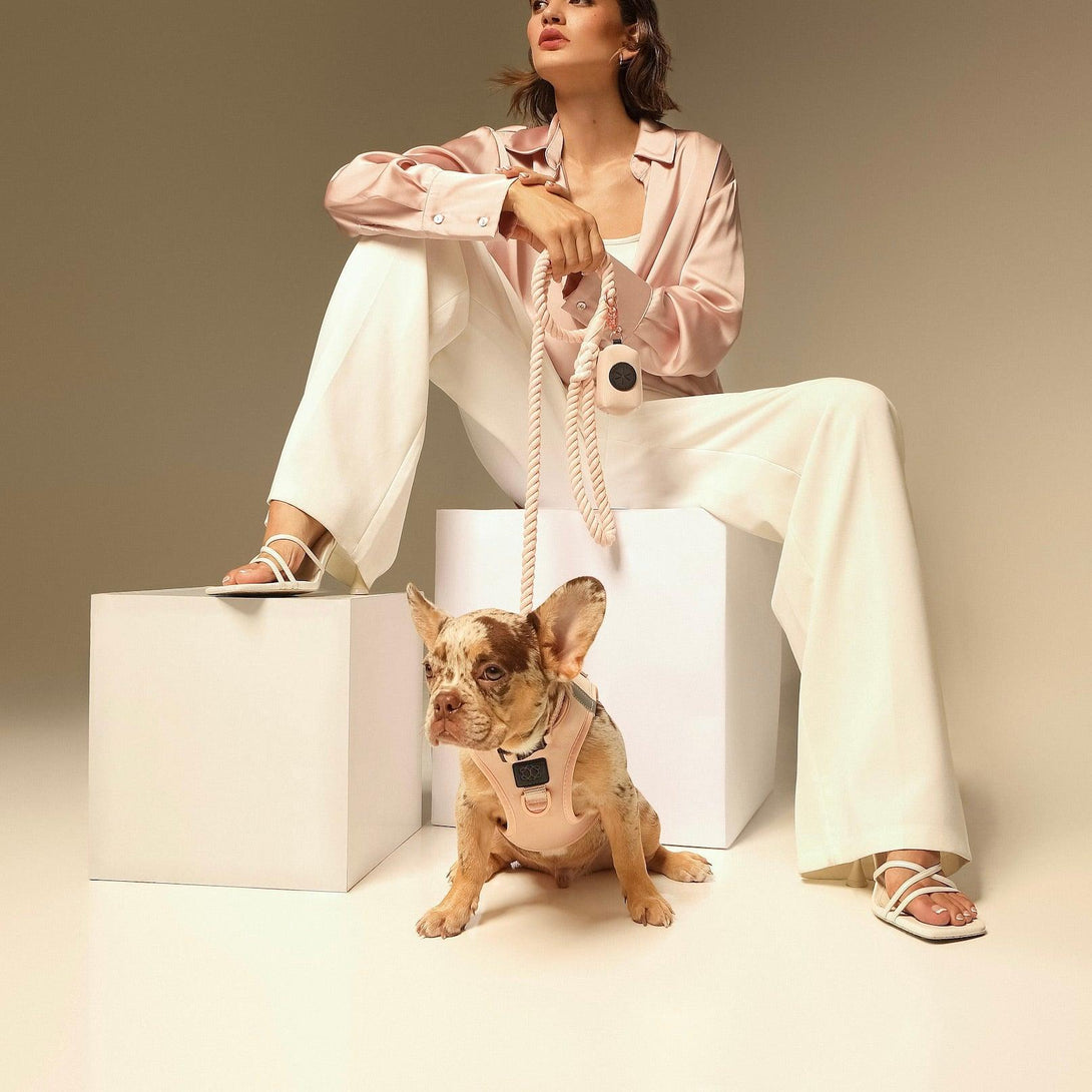 SoHo Dog Harness - Blush Pink – Dog Harnesses by Dogistry