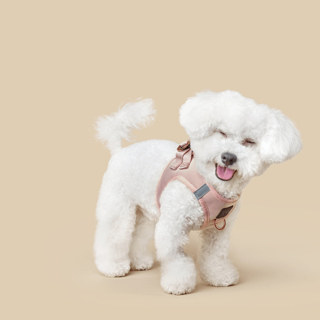 SoHo Dog Harness - Blush Pink – Dog Harnesses by Dogistry