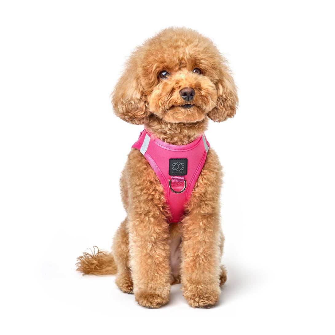 SoHo No - Pull Step - In Dog Harness - Park Ave Pink – Dog Harnesses by Dogistry
