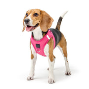 SoHo No - Pull Step - In Dog Harness - Park Ave Pink – Dog Harnesses by Dogistry