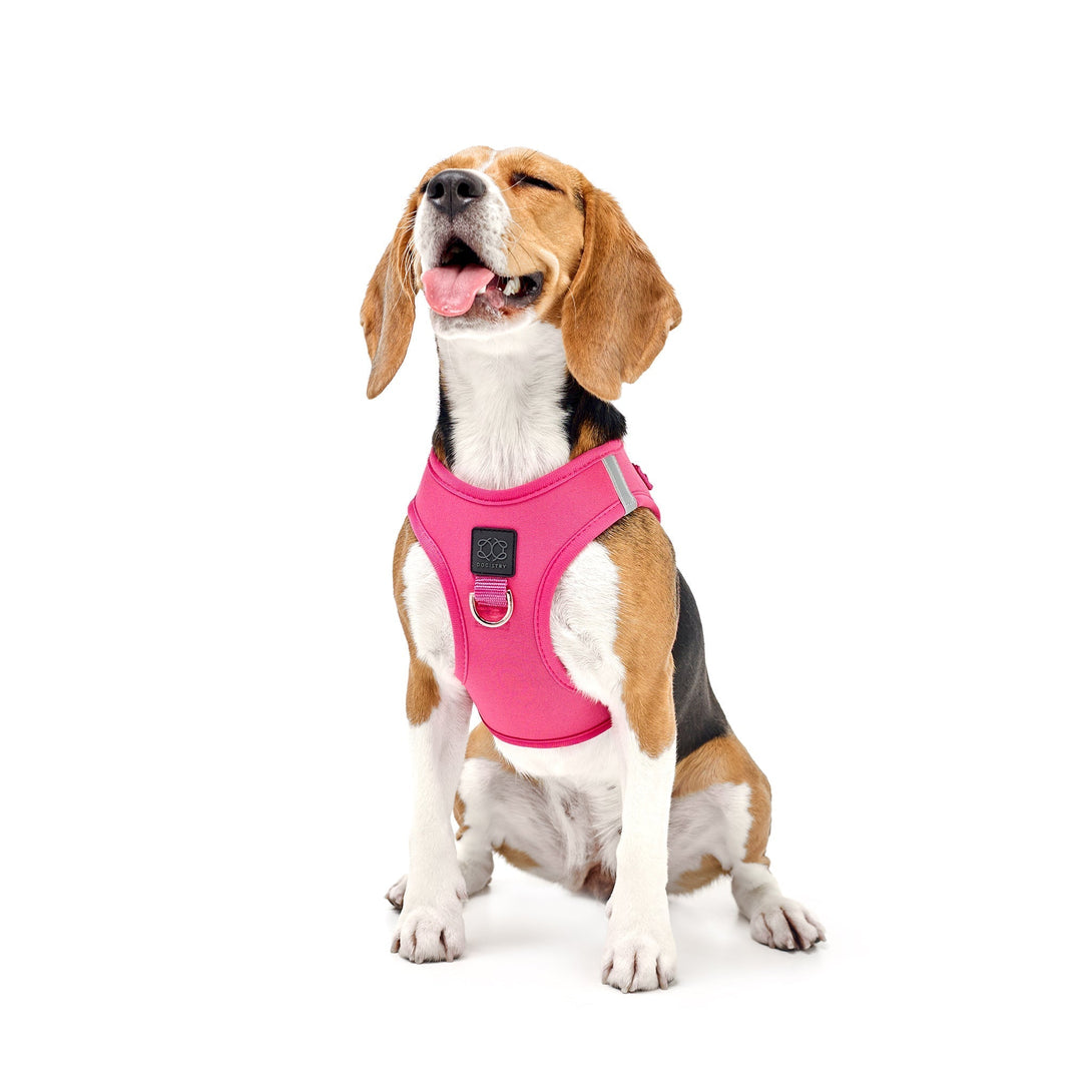 SoHo No - Pull Step - In Dog Harness - Park Ave Pink – Dog Harnesses by Dogistry