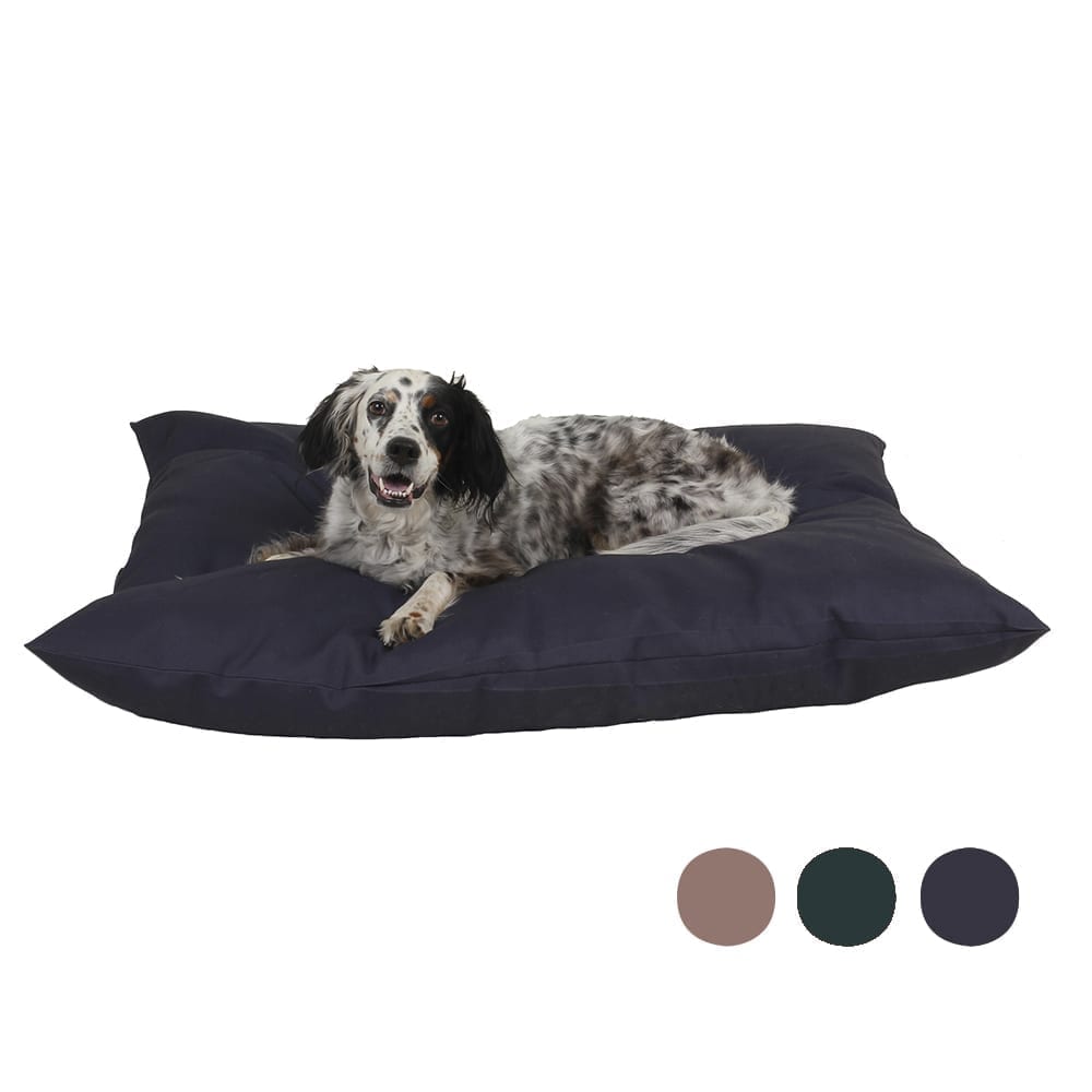 Solid Shebang Rectangle Indoor Outdoor Dog Bed – Dog Beds by Carolina Pet Co.