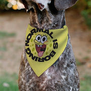 SpongeBob SquarePants NORMAL IS BORING Dog Bandana – Bandanas & Neckwear by Buckle - Down