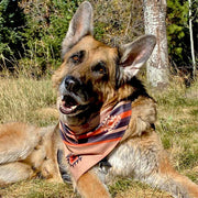 Sport Dog Bandana - Grand Mesa – Bandanas & Neckwear by WaLk - e - Woo