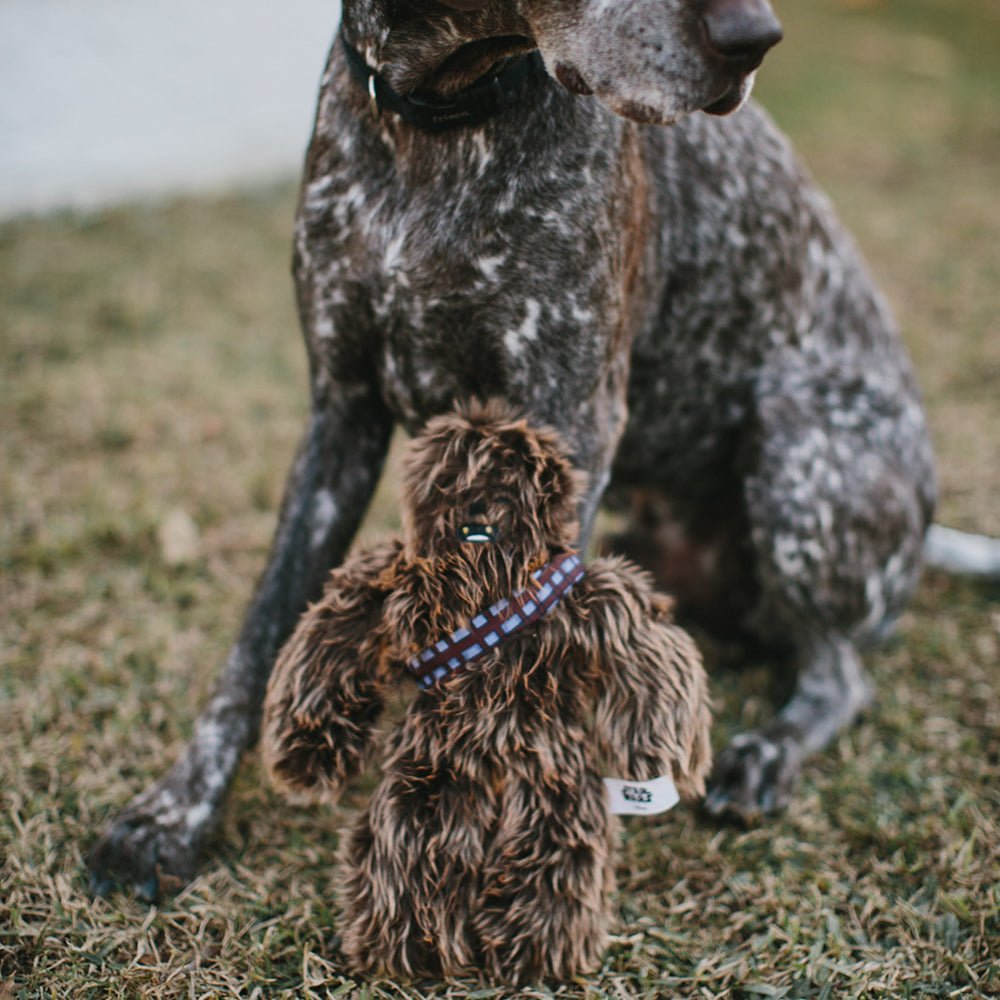 Star Wars Chewbacca Plush Squeaky Dog Toys – Dog Toys by Buckle - Down
