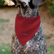 Star Wars DARTH VADER Flame Dog Bandana – Bandanas & Neckwear by Buckle - Down