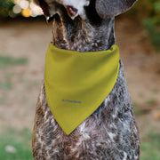 STAR WARS Logo Dog Bandana – Bandanas & Neckwear by Buckle - Down
