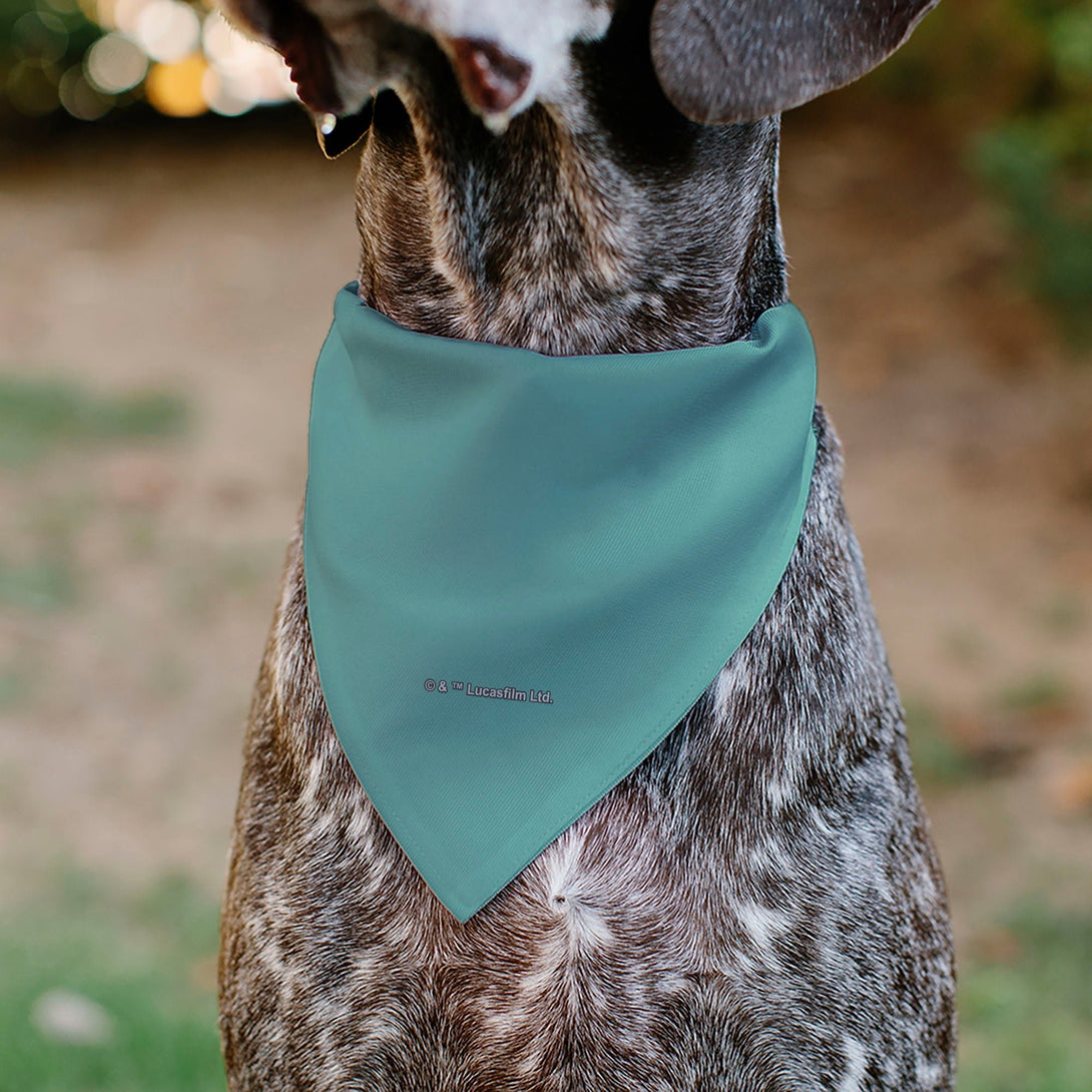 Star Wars The Madalorian and Grogu WHERE HE GOES I GO Dog Bandana – Bandanas & Neckwear by Buckle - Down