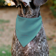 Star Wars The Madalorian and Grogu WHERE HE GOES I GO Dog Bandana – Bandanas & Neckwear by Buckle - Down