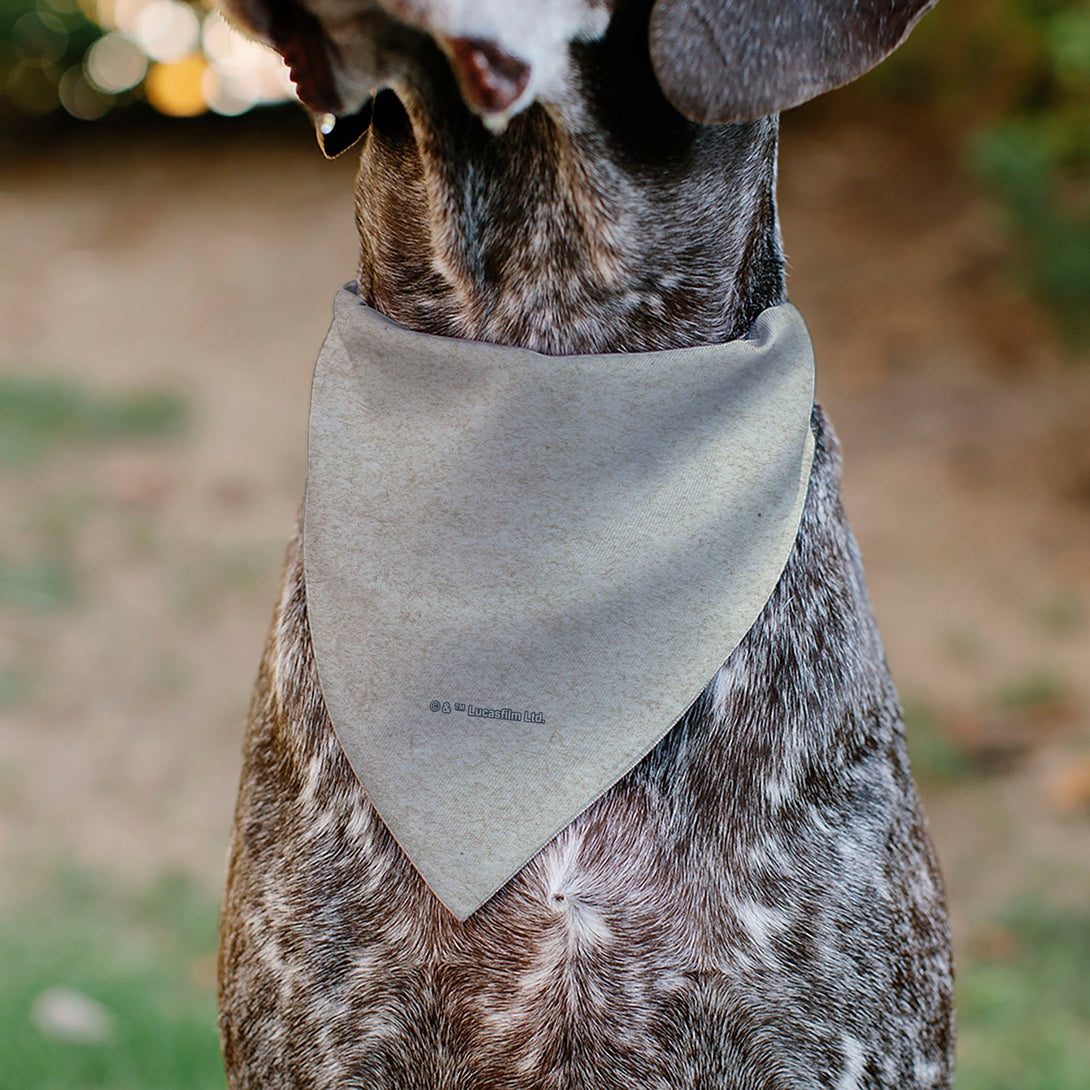 Star Wars The Madalorian Painting Dog Bandana – Bandanas & Neckwear by Buckle - Down