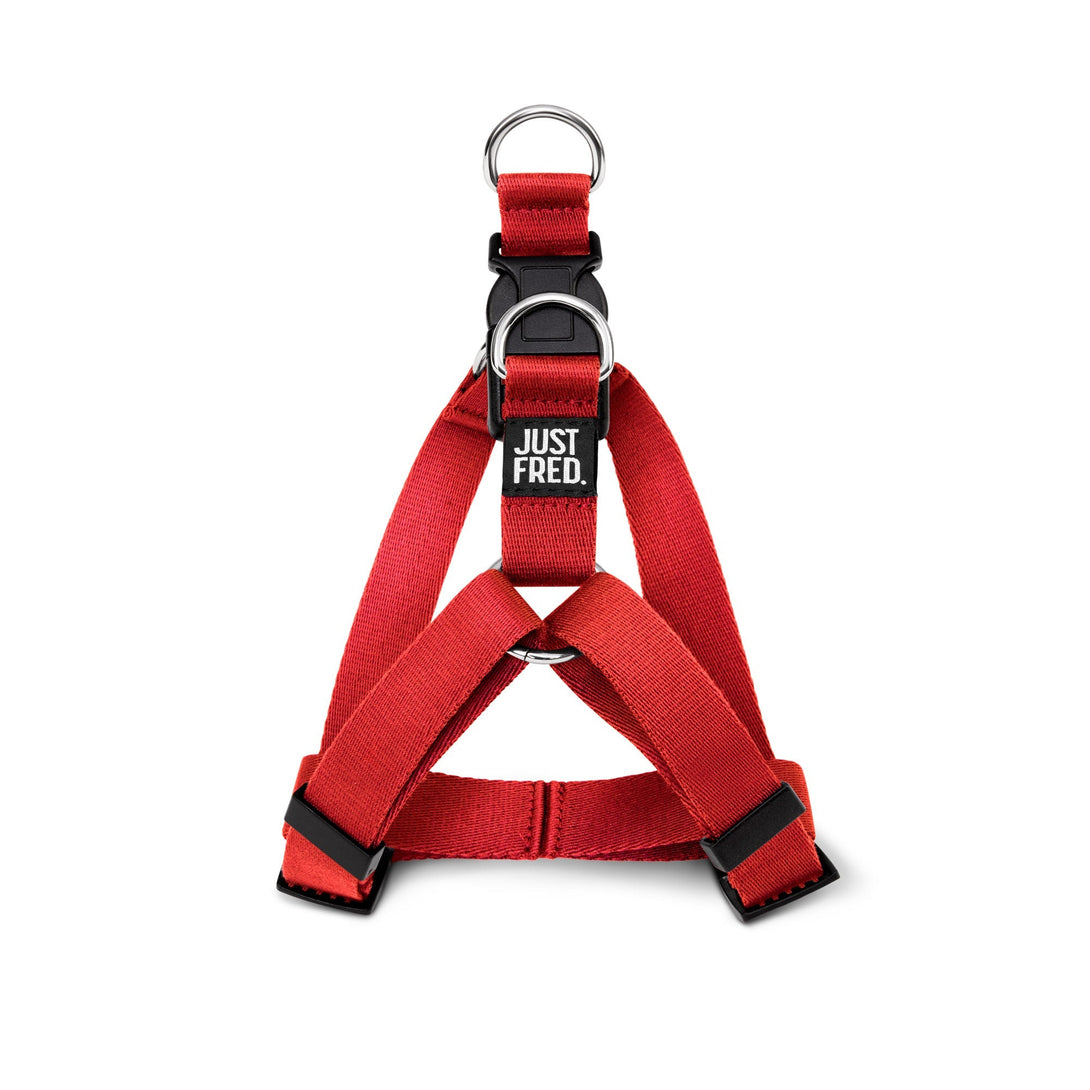 Step - In Dog Harness. – Dog Harnesses by JUST FRED.