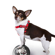 Step - In Dog Harness. – Dog Harnesses by JUST FRED.