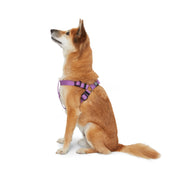 Step - In Dog Harness. – Dog Harnesses by JUST FRED.