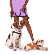 Step - In Dog Harness. – Dog Harnesses by JUST FRED.