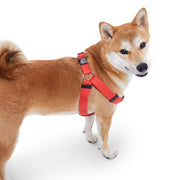 Step - In Dog Harness. – Dog Harnesses by JUST FRED.