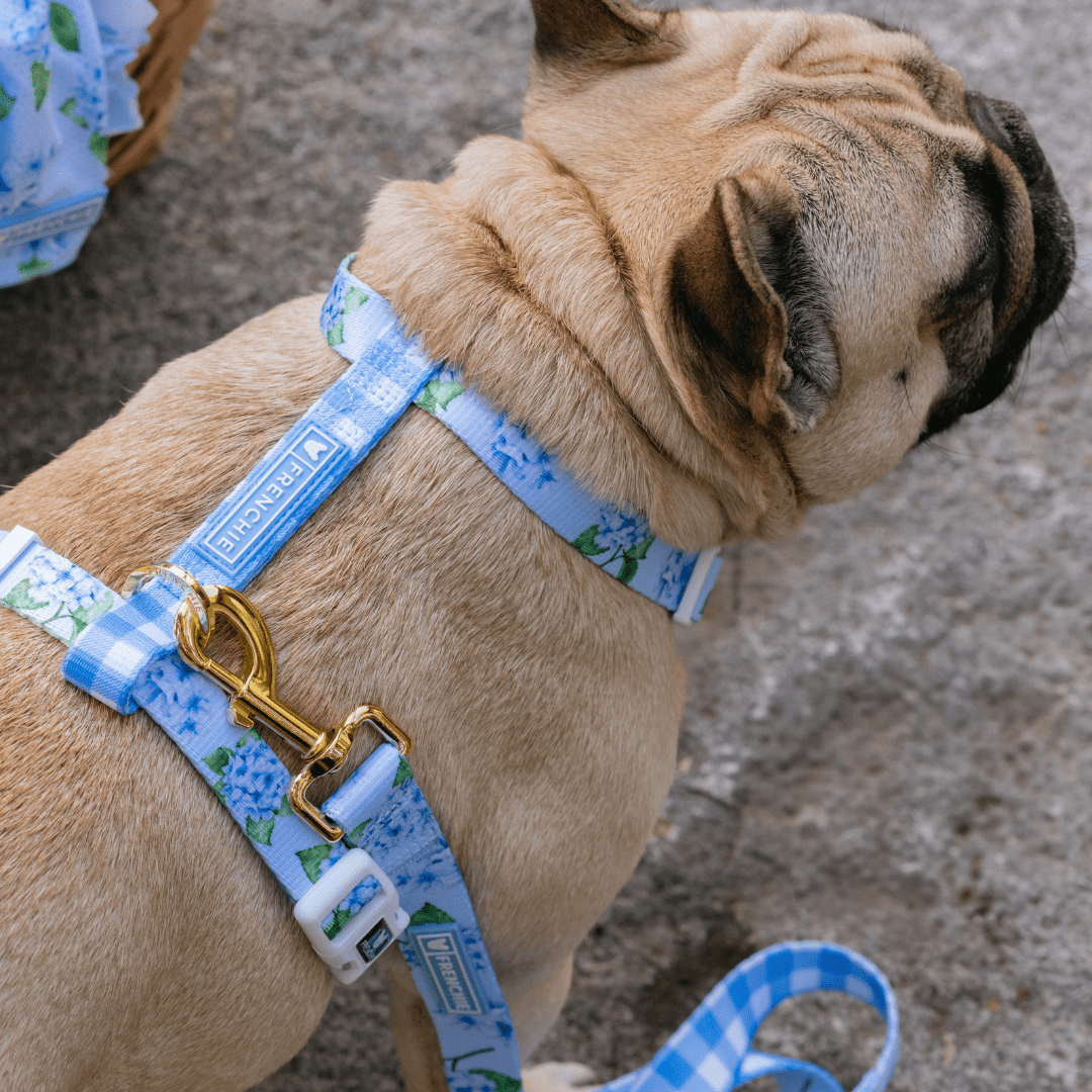 Strap Dog Harness - Hydrangea – Dog Harnesses by Frenchie Bulldog