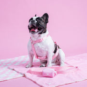 Strap Dog Harness - Pink Bubblegum – Dog Harnesses by Frenchie Bulldog