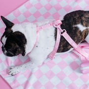 Strap Dog Harness - Pink Bubblegum – Dog Harnesses by Frenchie Bulldog