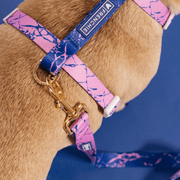 Strap Dog Harness - Pink Marble – Dog Harnesses by Frenchie Bulldog