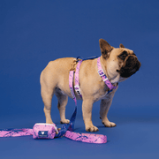 Strap Dog Harness - Pink Marble – Dog Harnesses by Frenchie Bulldog