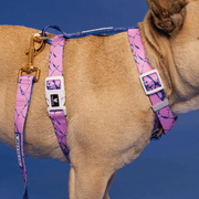 Strap Dog Harness - Pink Marble – Dog Harnesses by Frenchie Bulldog