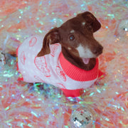 Strawberry Knitted Dog Sweater – Sweaters & Hoodies by Sunbean