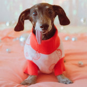 Strawberry Knitted Dog Sweater – Sweaters & Hoodies by Sunbean