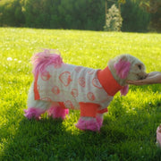 Strawberry Knitted Dog Sweater – Sweaters & Hoodies by Sunbean