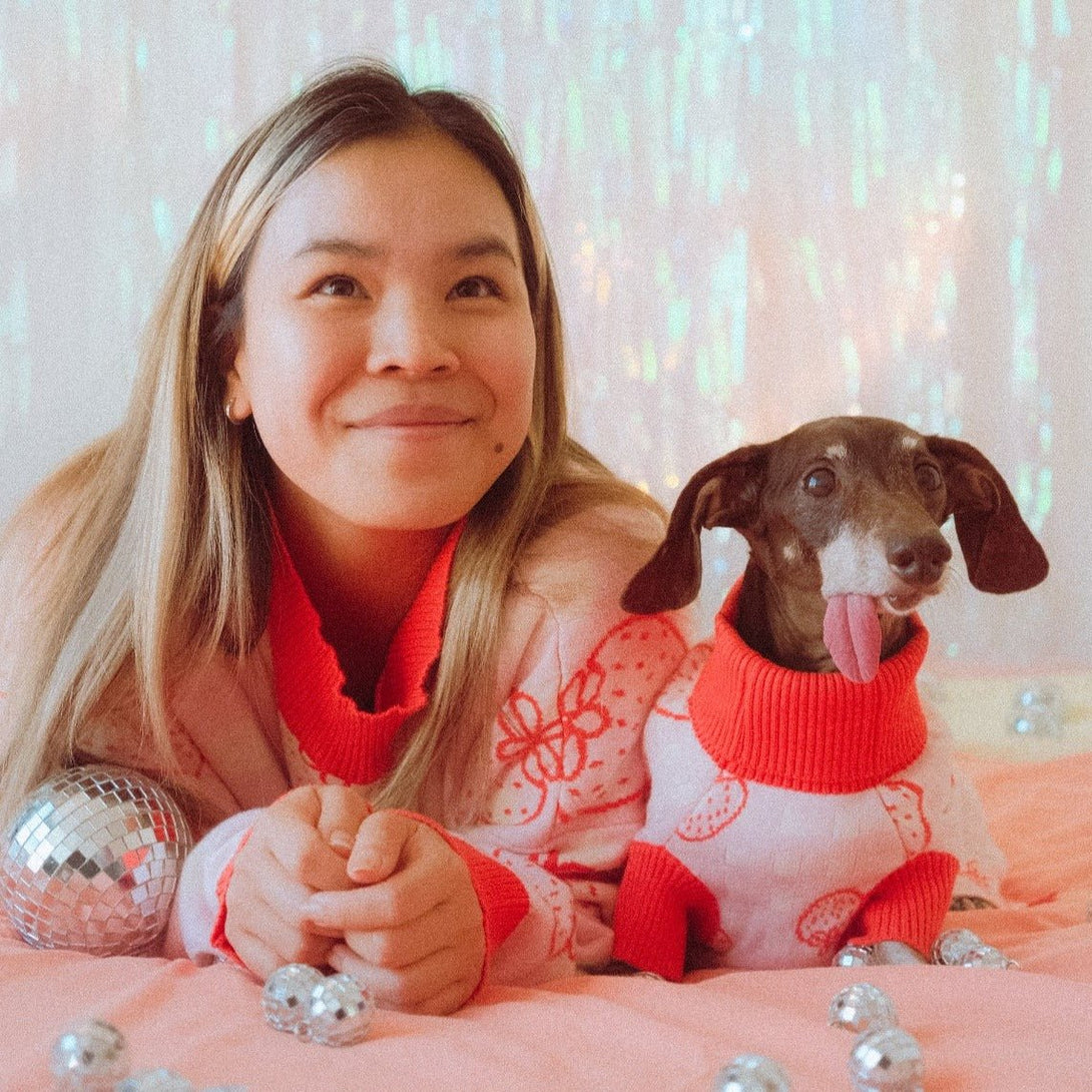 Strawberry Knitted Dog Sweater – Sweaters & Hoodies by Sunbean