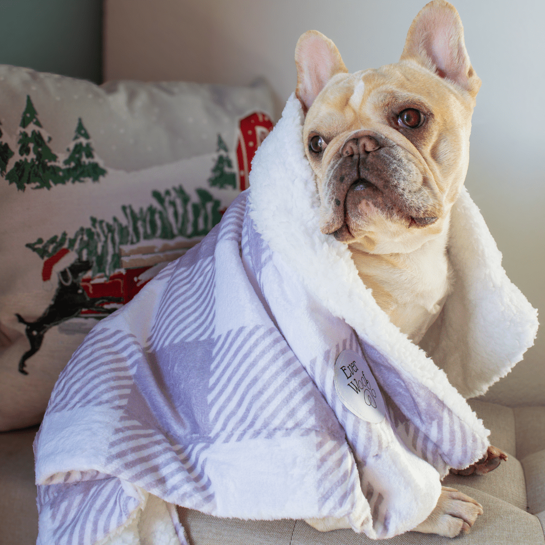 Sugar Plum Dog Blanket – Dog Blankets by EverWoof