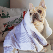 Sugar Plum Dog Blanket – Dog Blankets by EverWoof