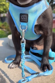Summer AIR No - Pull Step - In Dog Harness - Ocean – Dog Harnesses by Dogistry