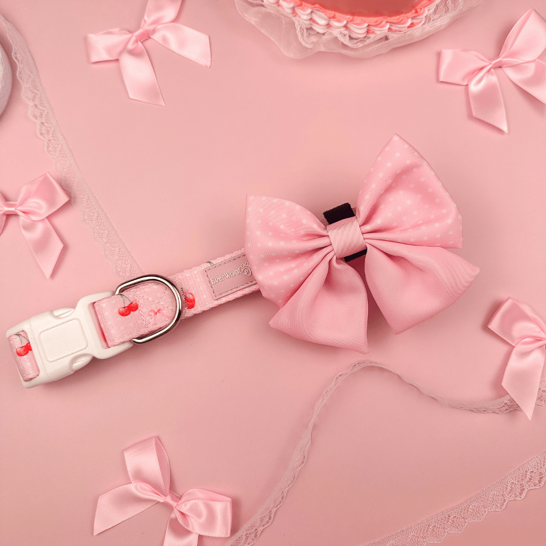 Sweet Chérie Dog Bow – Accessories by EverWoof