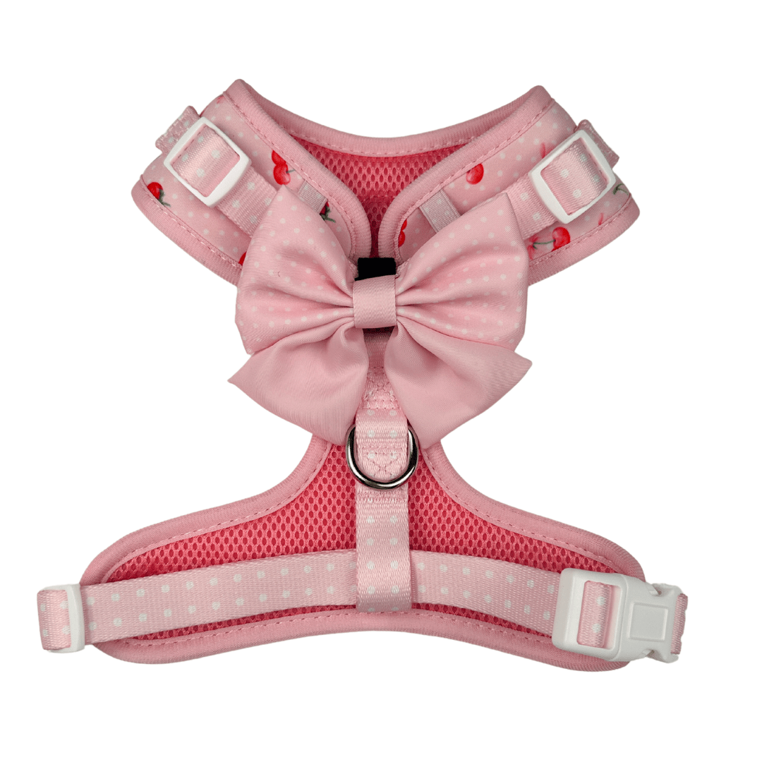 Sweet Chérie Dog Bow – Accessories by EverWoof