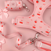 Sweet Chérie Dog Leash – Dog Leashes by EverWoof